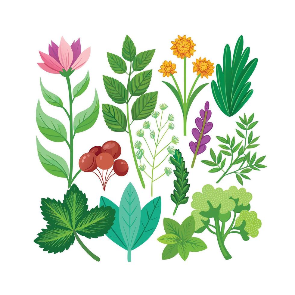 Realistic Beautiful Herbs Illustration vector