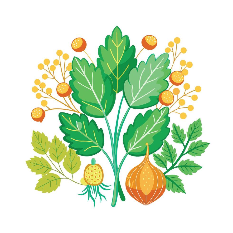 Realistic Beautiful Herbs Illustration vector