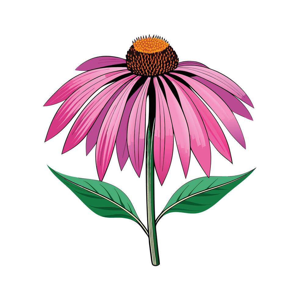 Realistic Beautiful Herbs Illustration vector