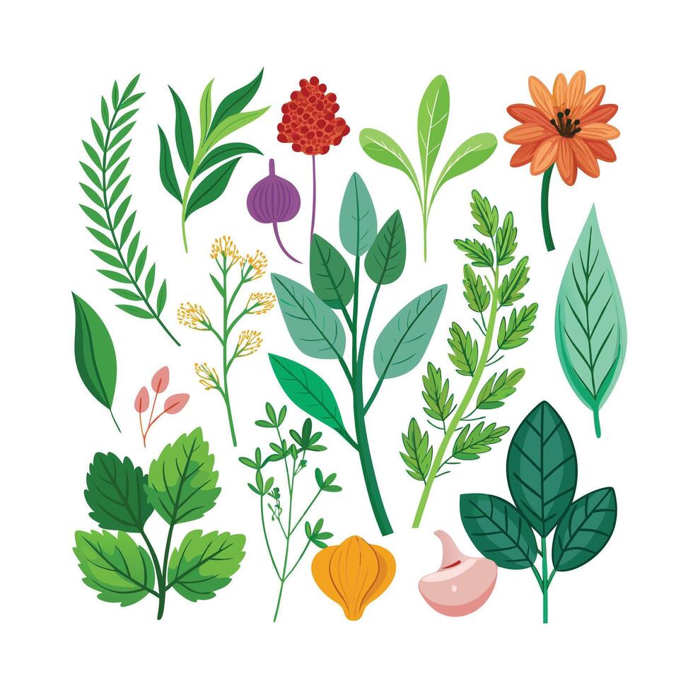 Realistic Beautiful Herbs Illustration vector