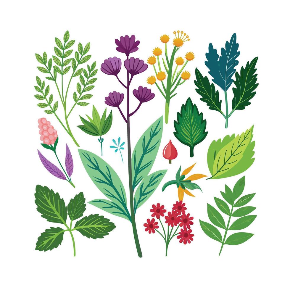 Realistic Beautiful Herbs Illustration vector