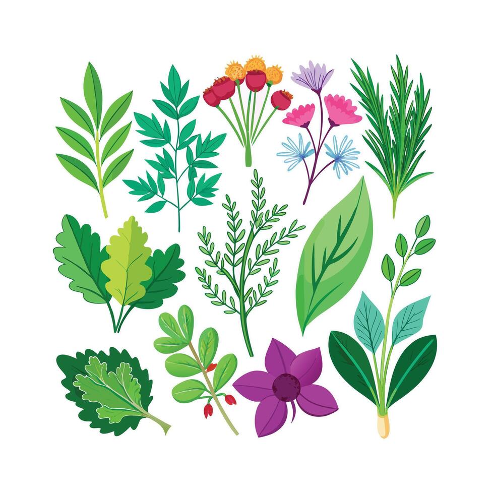 Realistic Beautiful Herbs Illustration vector