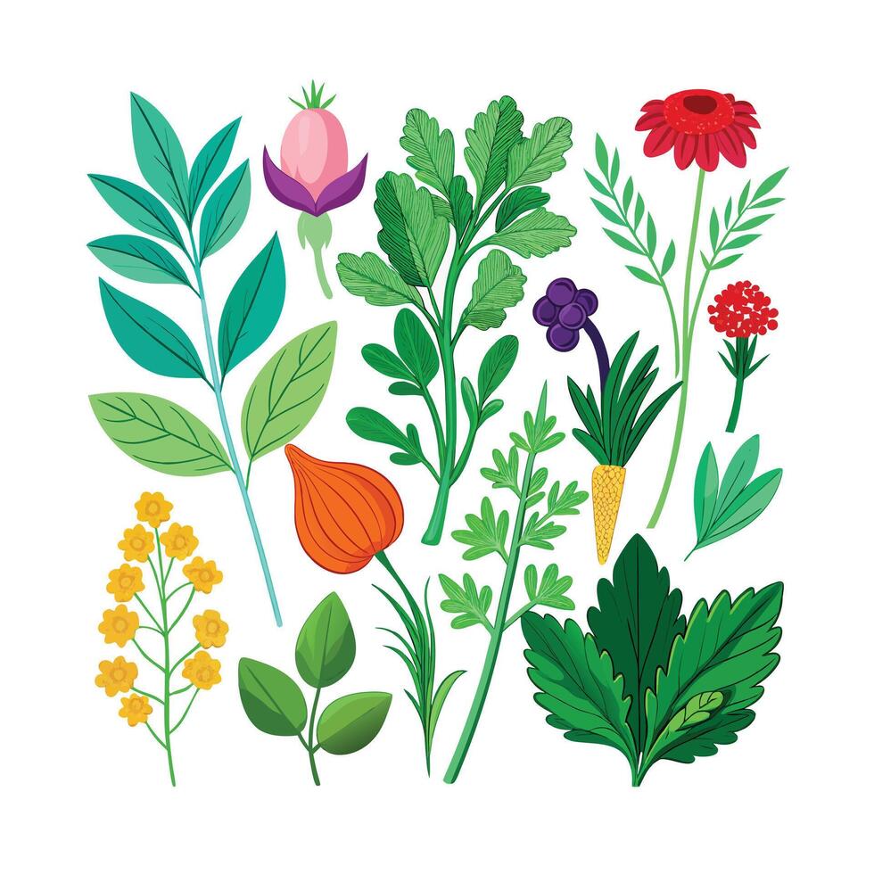 Realistic Beautiful Herbs Illustration vector