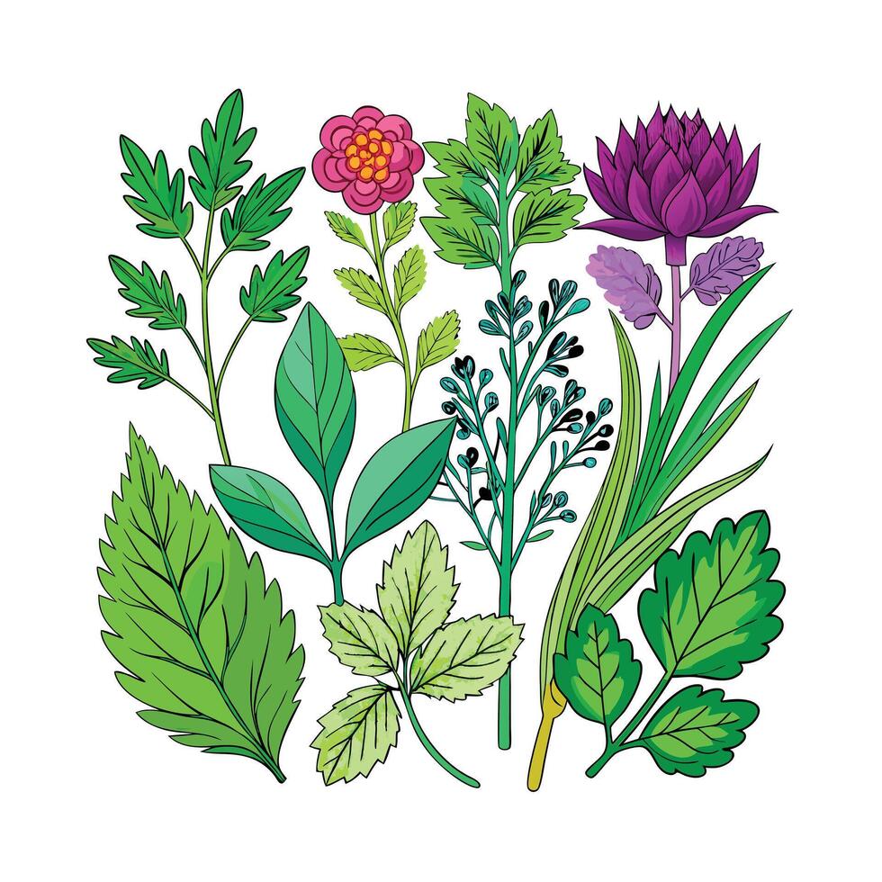 Realistic Beautiful Herbs Illustration vector