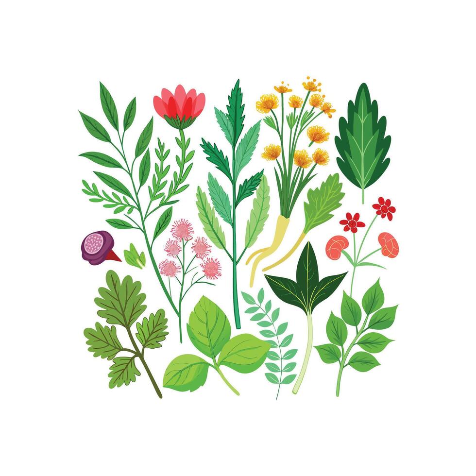 Realistic Beautiful Herbs Illustration vector