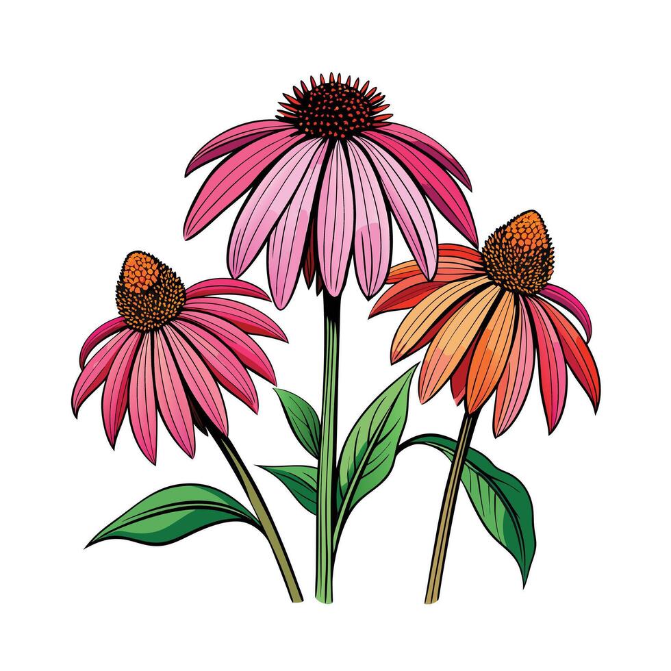 Realistic Beautiful Herbs Illustration vector