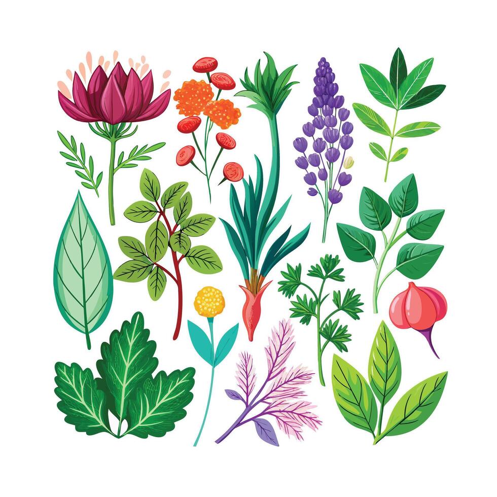 Realistic Beautiful Herbs Illustration vector