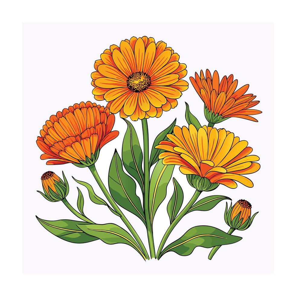 Realistic Beautiful Herbs Illustration vector