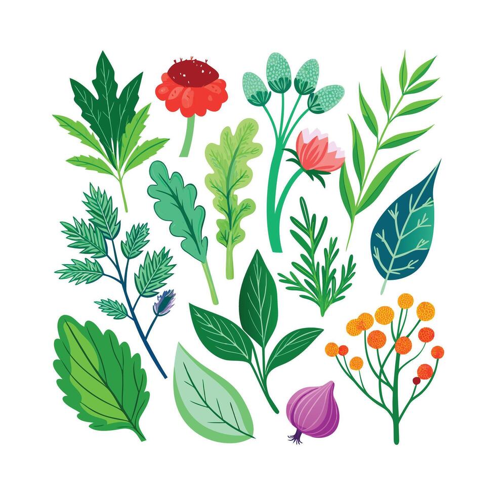 Realistic Beautiful Herbs Illustration vector
