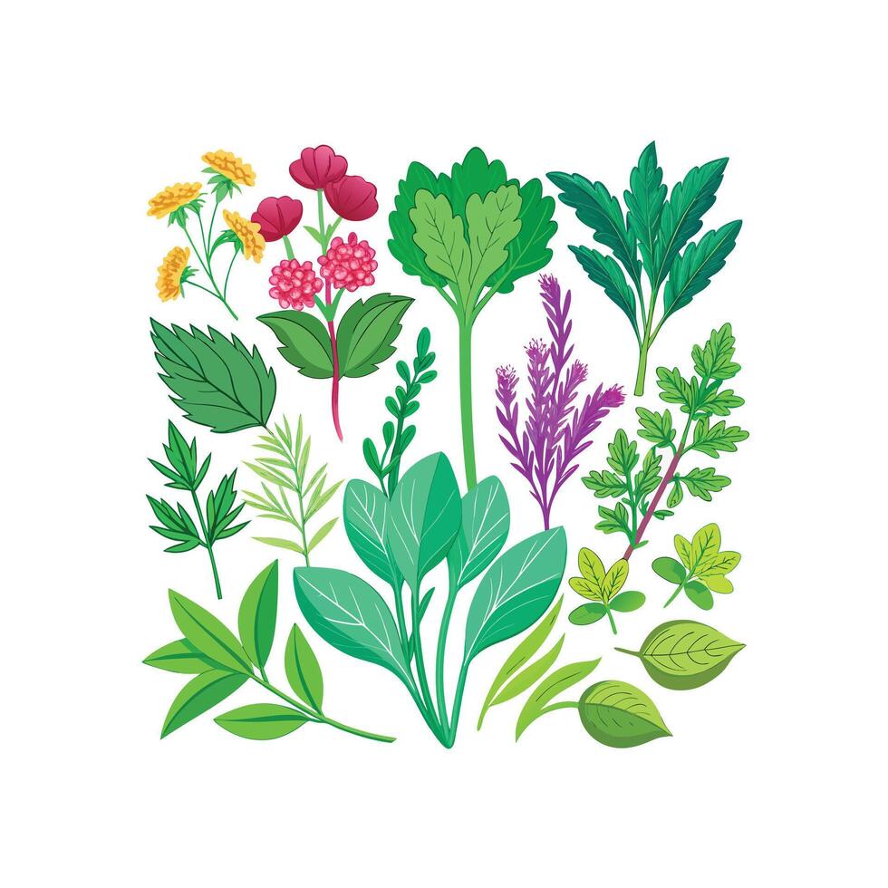 Realistic Beautiful Herbs Illustration vector