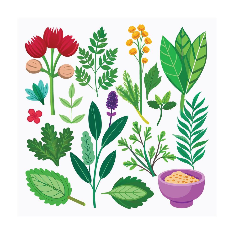Realistic Beautiful Herbs Illustration vector