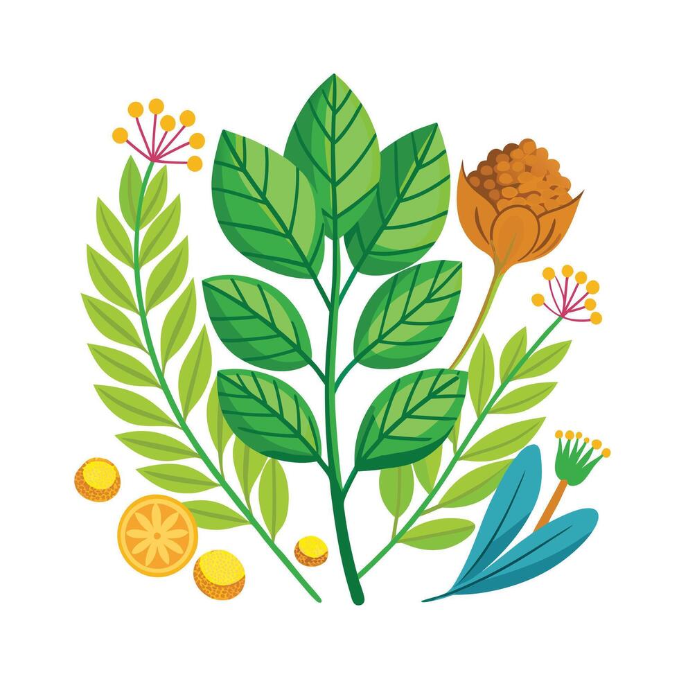Realistic Beautiful Herbs Illustration vector