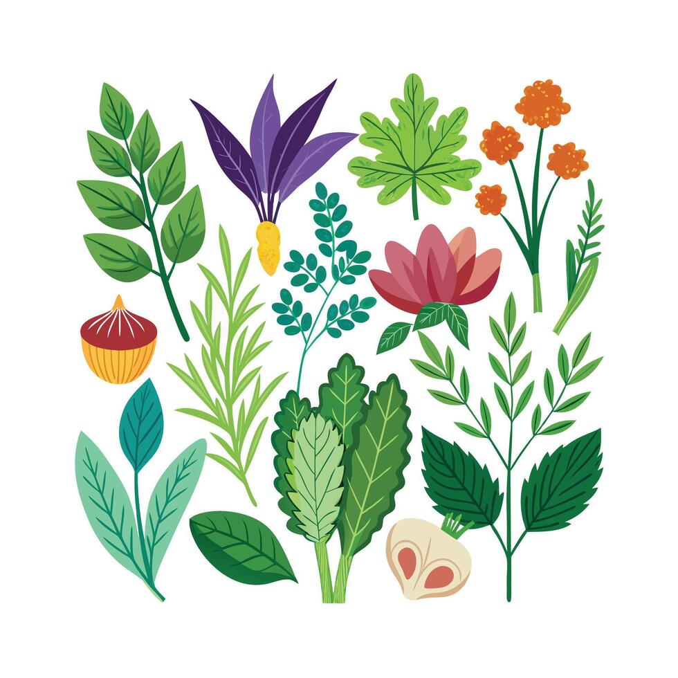 Realistic Beautiful Herbs Illustration vector