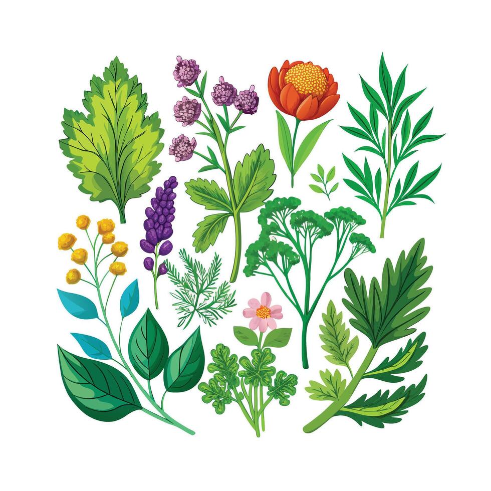 Realistic Beautiful Herbs Illustration vector
