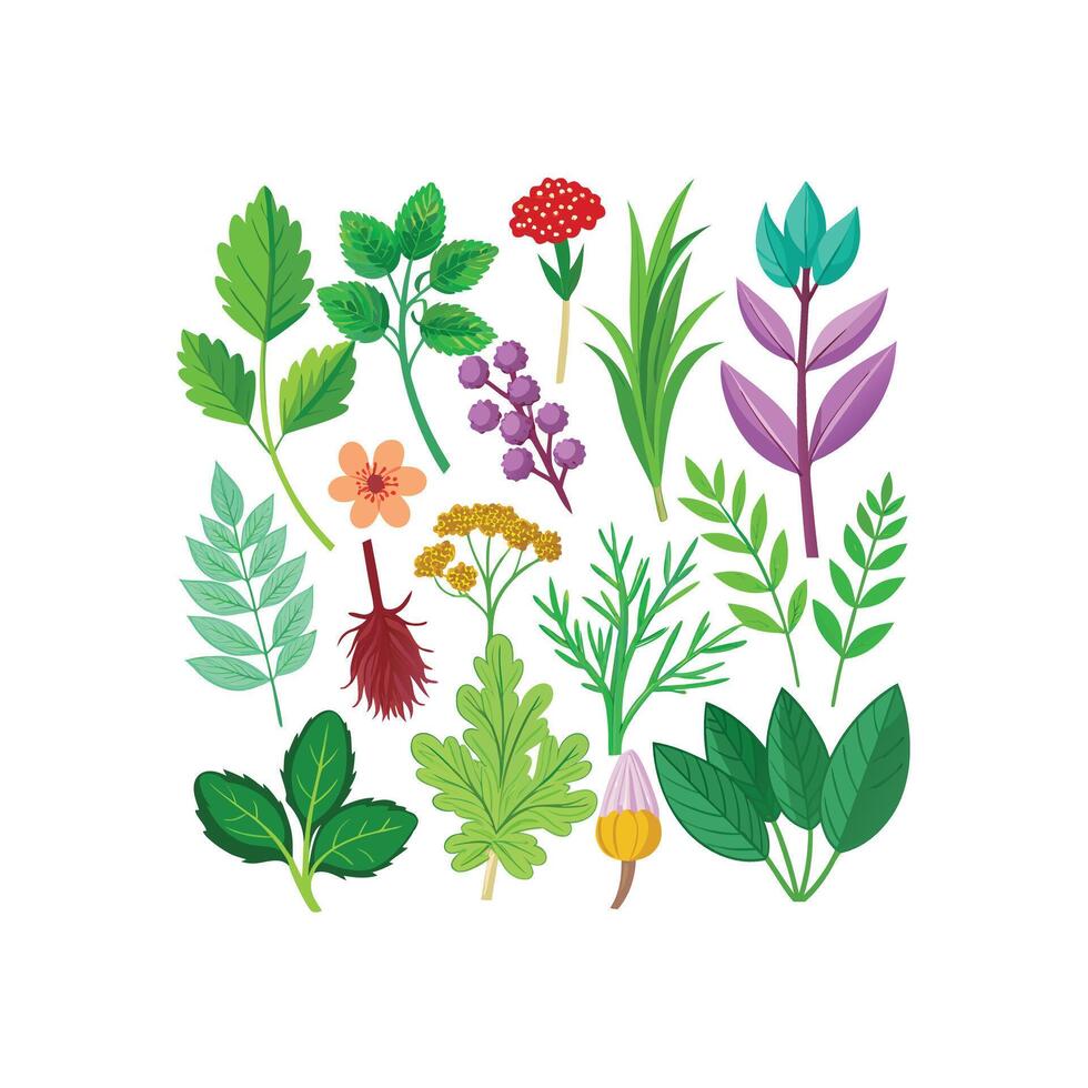 Realistic Beautiful Herbs Illustration vector