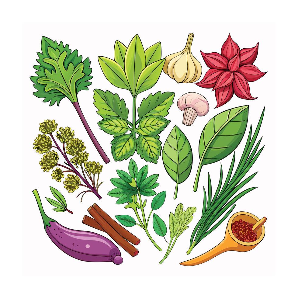 Realistic Beautiful Herbs Illustration vector