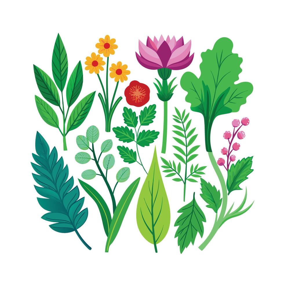 Realistic Beautiful Herbs Illustration vector