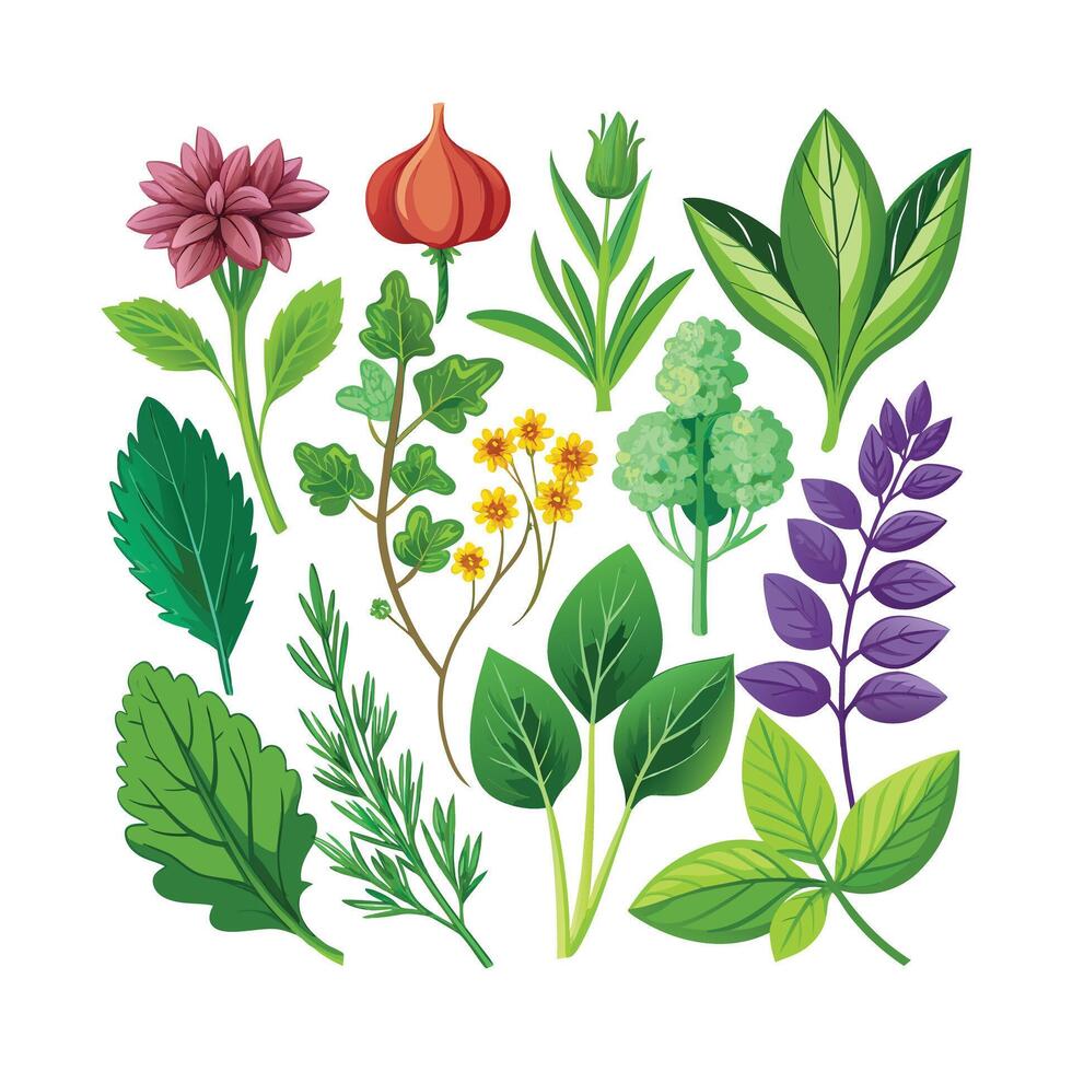 Realistic Beautiful Herbs Illustration vector
