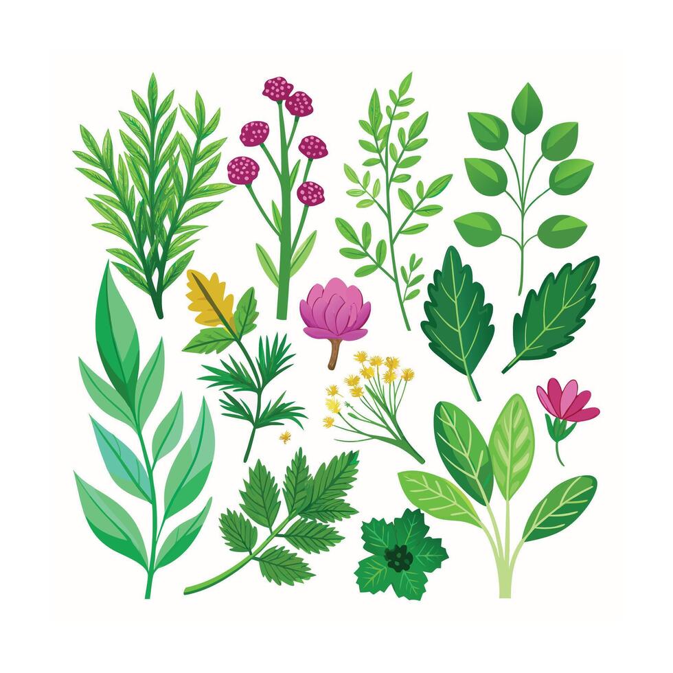 Realistic Beautiful Herbs Illustration vector