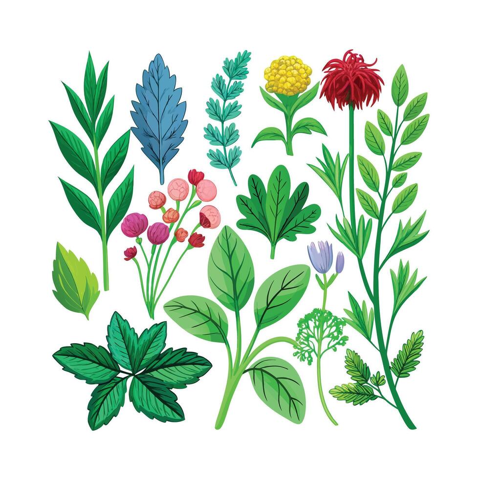 Realistic Beautiful Herbs Illustration vector