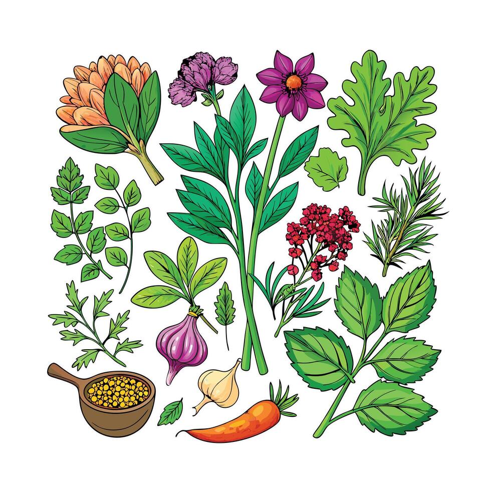 Realistic Beautiful Herbs Illustration vector