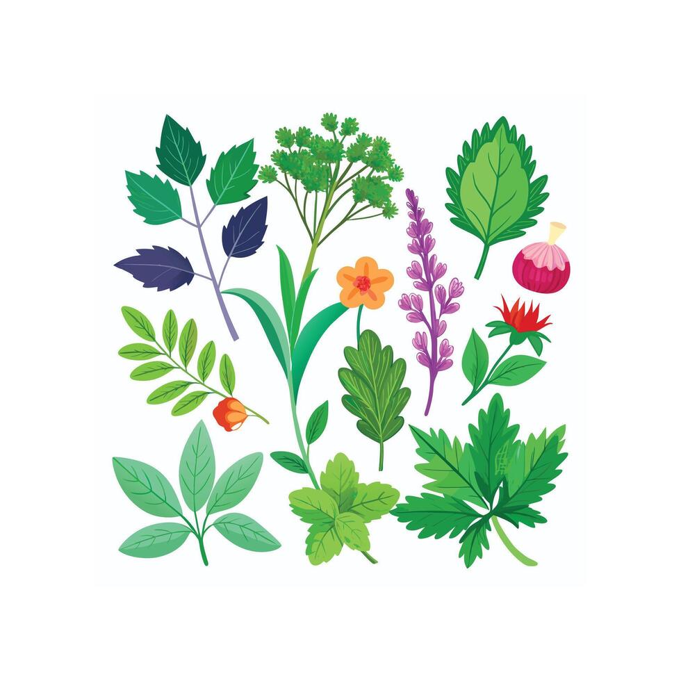 Realistic Beautiful Herbs Illustration vector