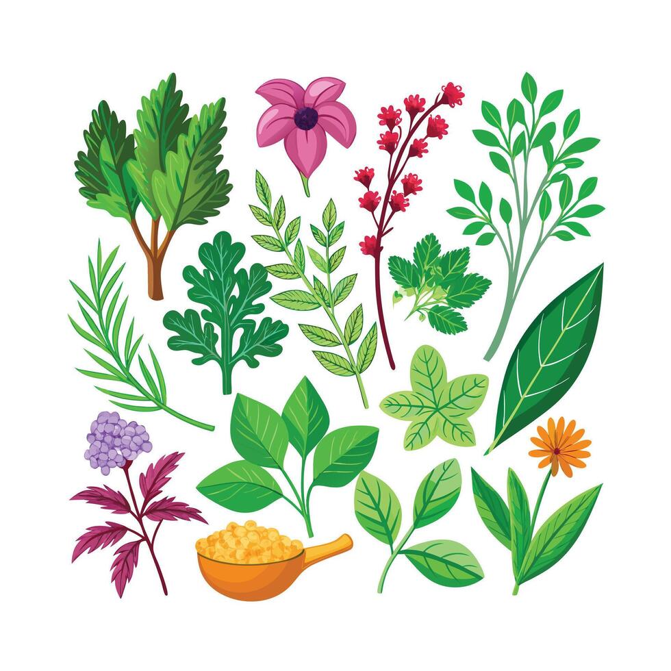 Realistic Beautiful Herbs Illustration vector