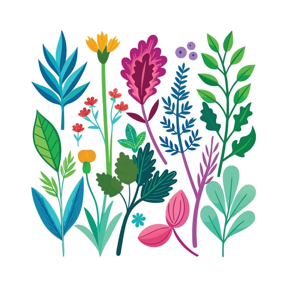 Realistic Beautiful Herbs Illustration vector