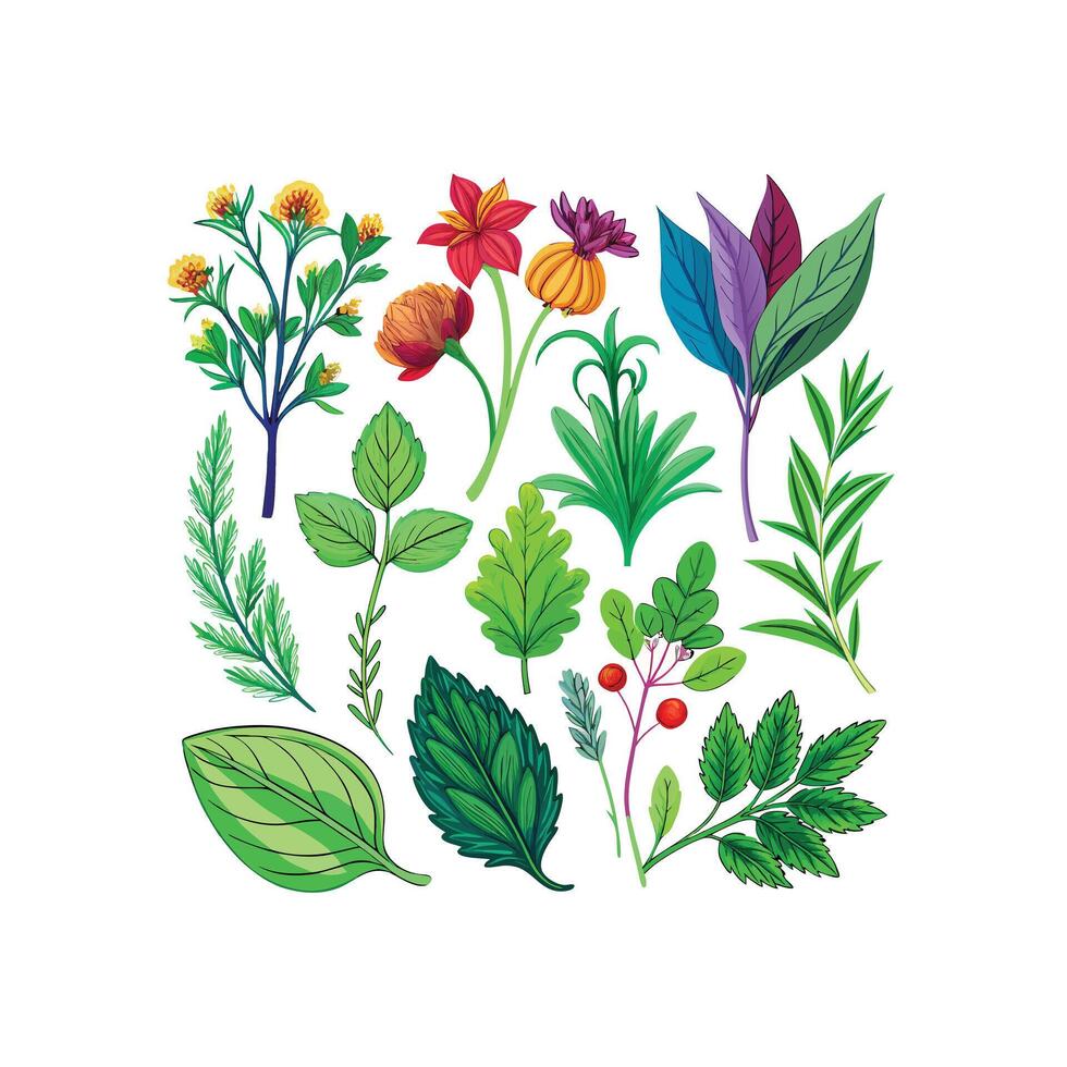 Realistic Beautiful Herbs Illustration vector