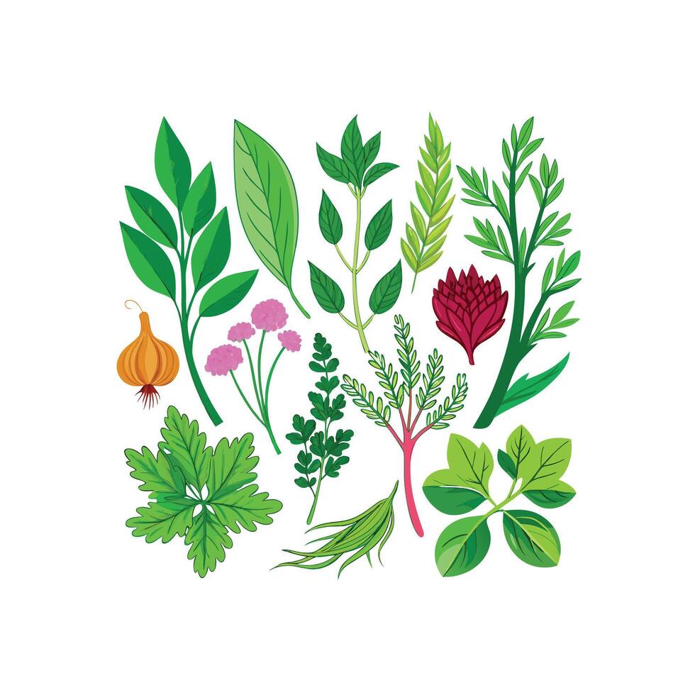 Realistic Beautiful Herbs Illustration vector