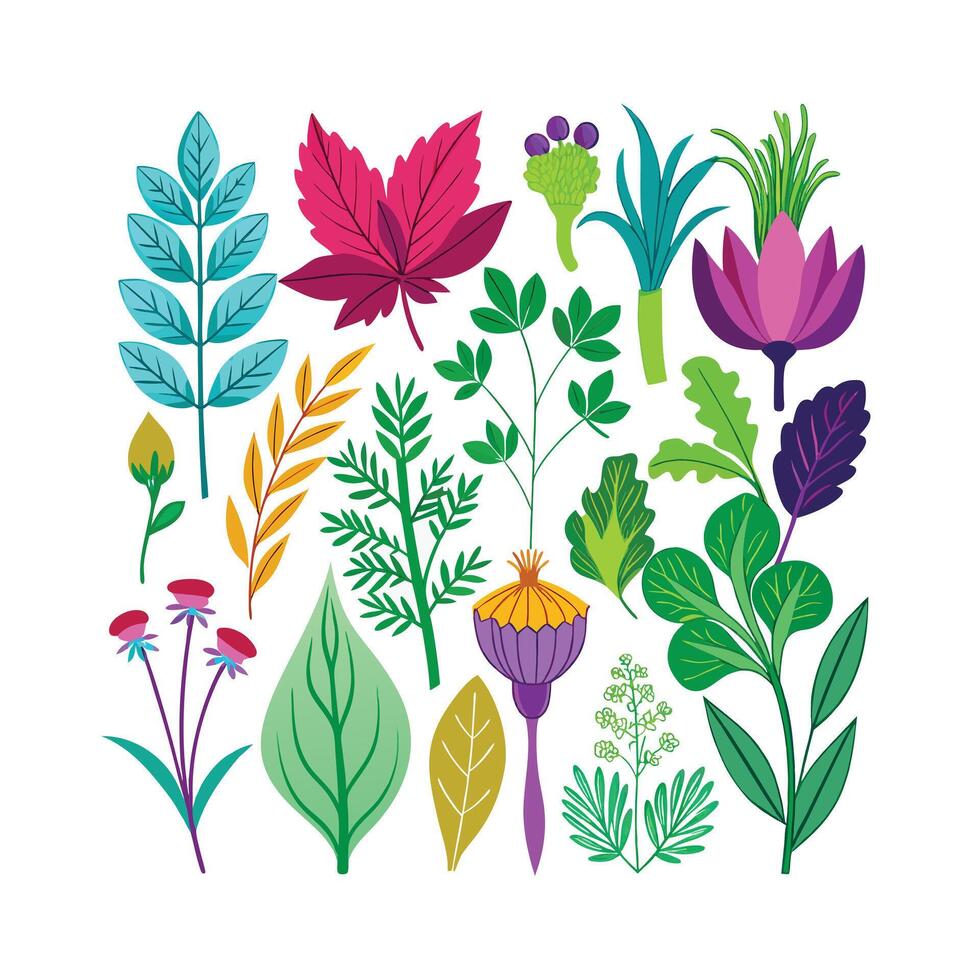 Realistic Beautiful Herbs Illustration vector