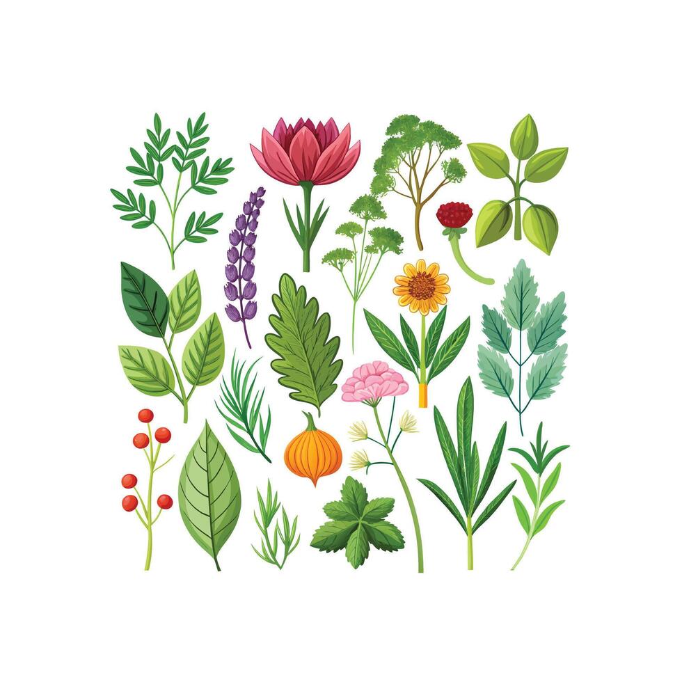 Realistic Beautiful Herbs Illustration vector