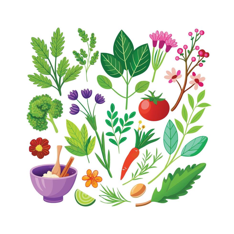 Realistic Beautiful Herbs Illustration vector
