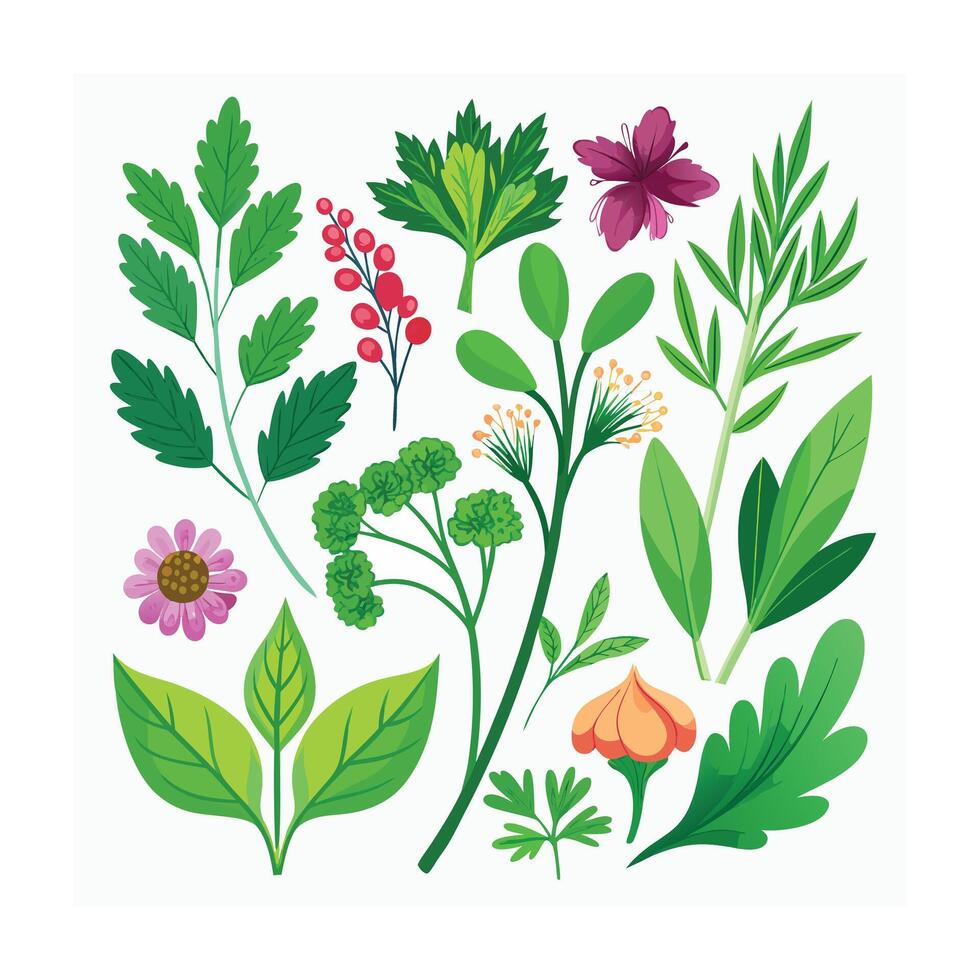 Realistic Beautiful Herbs Illustration vector