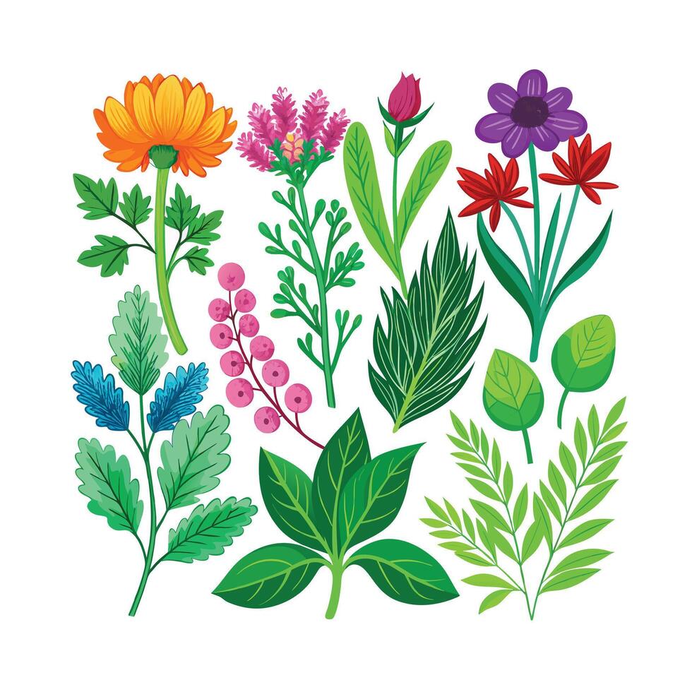 Realistic Beautiful Herbs Illustration vector