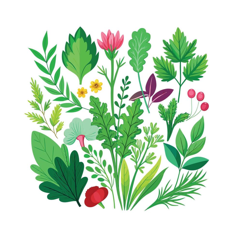 Realistic Beautiful Herbs Illustration vector