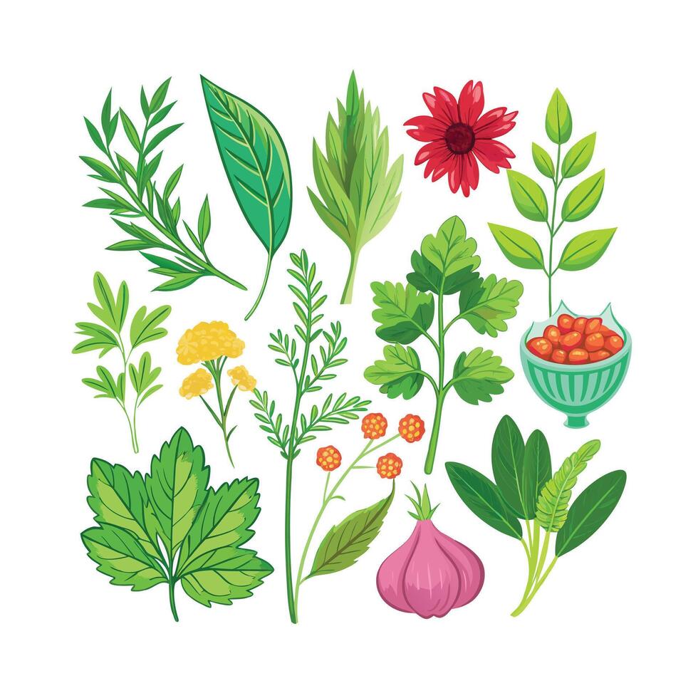 Realistic Beautiful Herbs Illustration vector