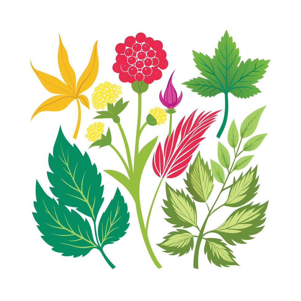 Realistic Beautiful Herbs Illustration vector