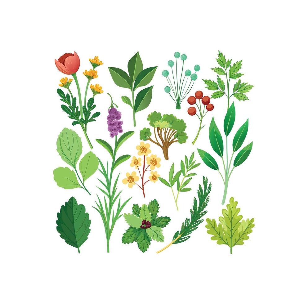 Realistic Beautiful Herbs Illustration vector
