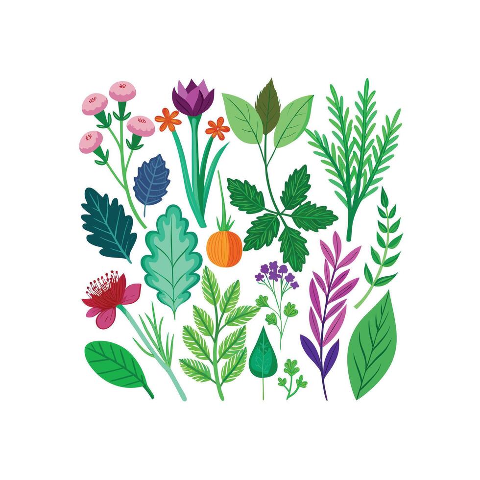 Realistic Beautiful Herbs Illustration vector