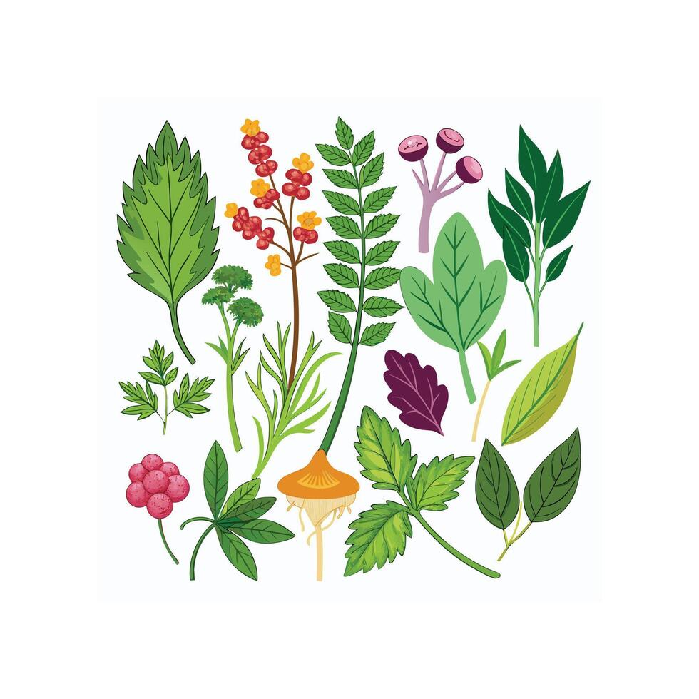 Realistic Beautiful Herbs Illustration vector