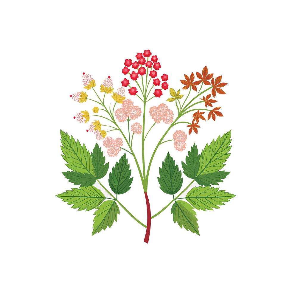 Realistic Beautiful Herbs Illustration vector