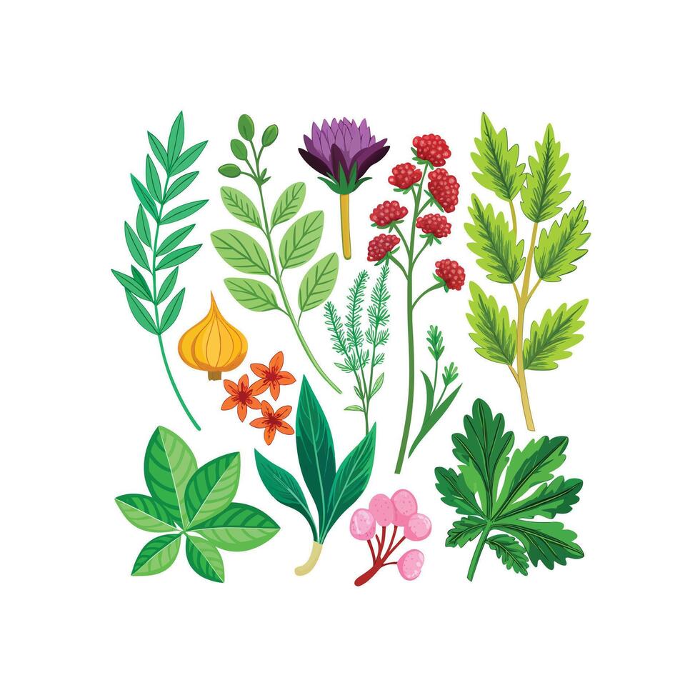 Realistic Beautiful Herbs Illustration vector