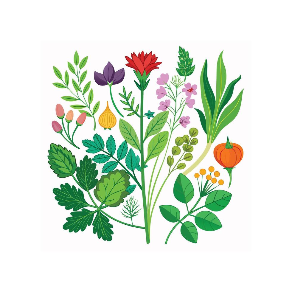 Realistic Beautiful Herbs Illustration vector