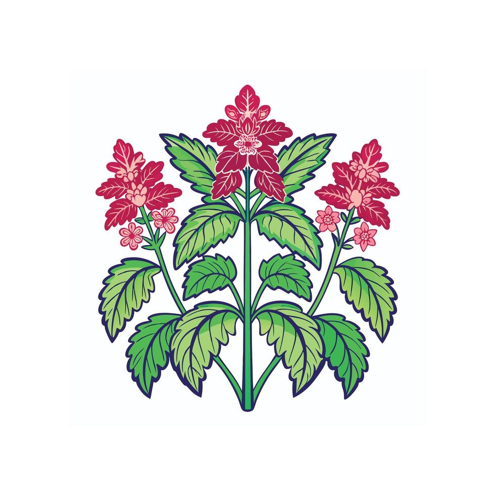 Realistic Beautiful Herbs Illustration vector