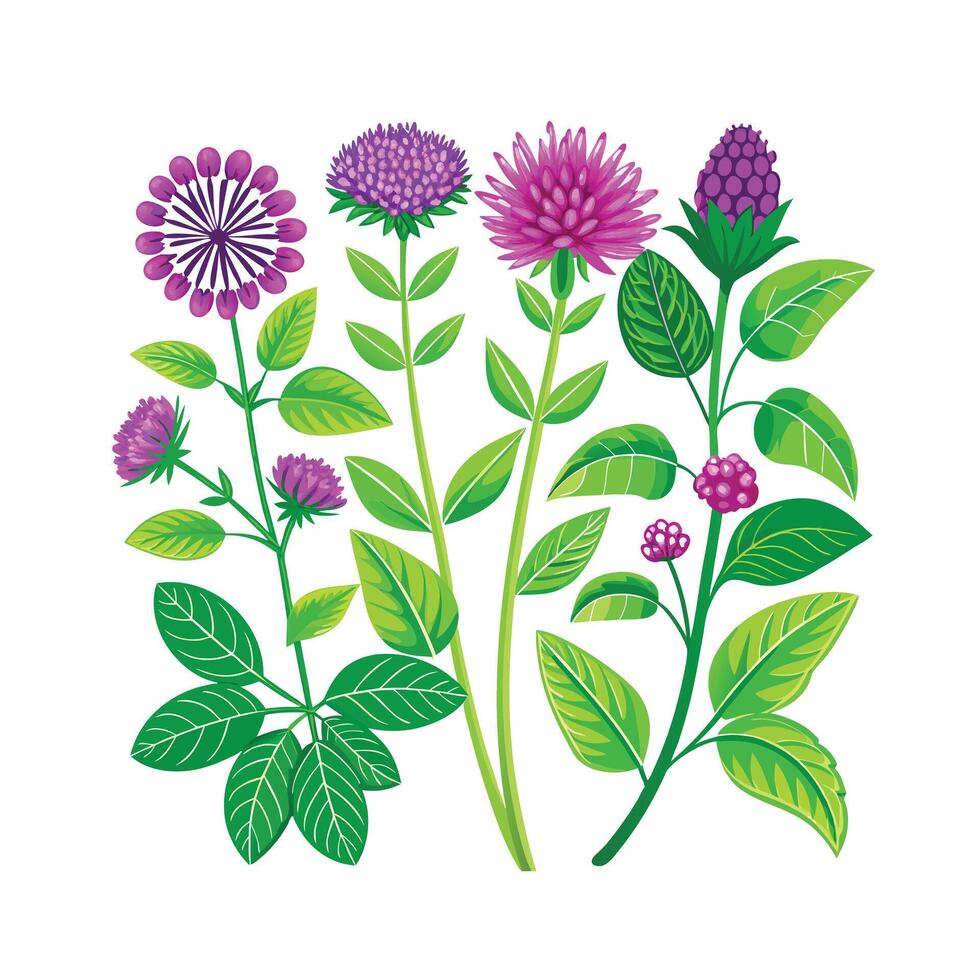 Realistic Beautiful Herbs Illustration vector