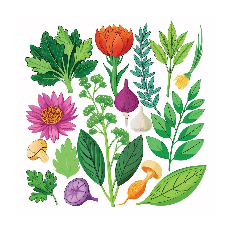 Realistic Beautiful Herbs Illustration vector