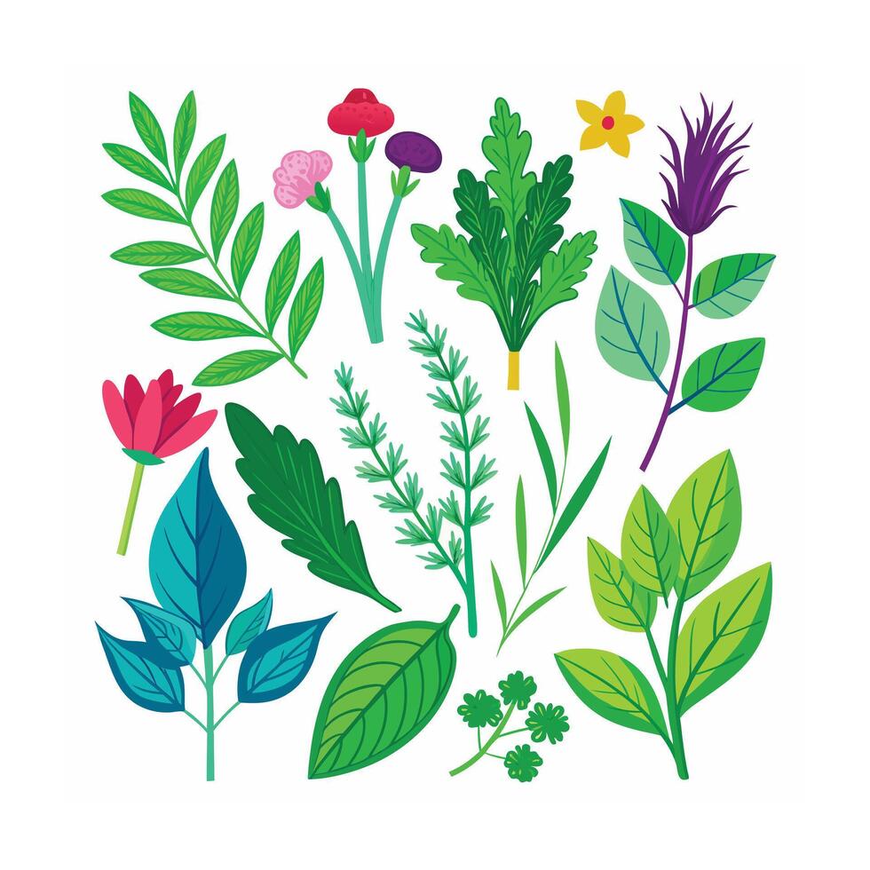 Realistic Beautiful Herbs Illustration vector
