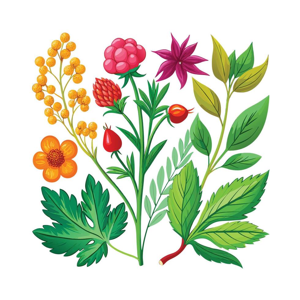 Realistic Beautiful Herbs Illustration vector