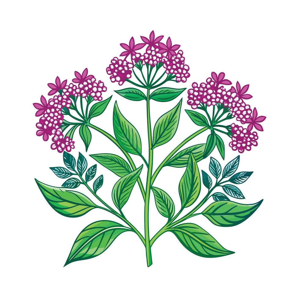Realistic Beautiful Herbs Illustration vector